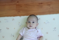 114年新生封面照