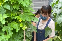 114年添購新玩具