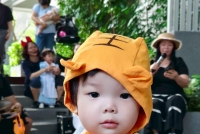 114年萬聖節票選活動