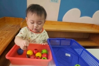 114年豆豆班812月