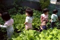 114年葡萄班910月