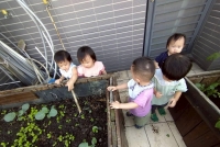 114年葡萄班910月