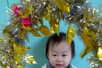 114年葡萄班1112月